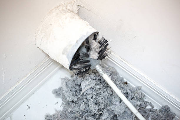 Best HVAC Duct Inspection Services  in Homeland, GA